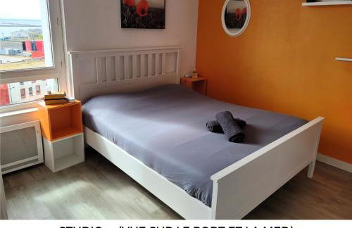 Appart Cosy Brest (La gare) vue mer - Foto 54