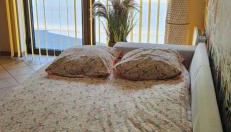 Les oiseaux du lac - Foto 4