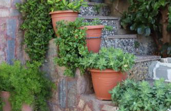 Mary's house - Photo 71