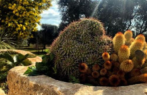 Dimore Storiche - Ulivo di Aldo - Foto 36