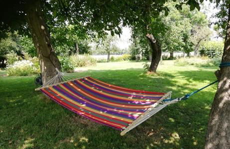 Oderbruchhütte - Photo 22