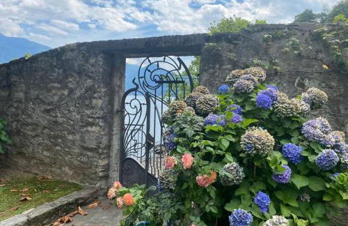 The Rose - Apartment Front lake - Foto 19