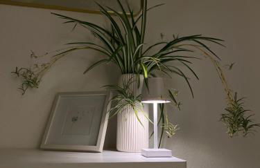 Altstadtnest - Foto 10