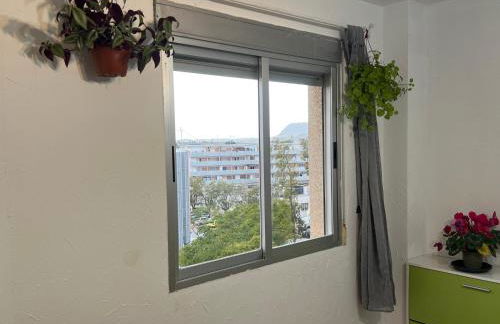 San Vicente del Raspeig Alicante - Foto 2