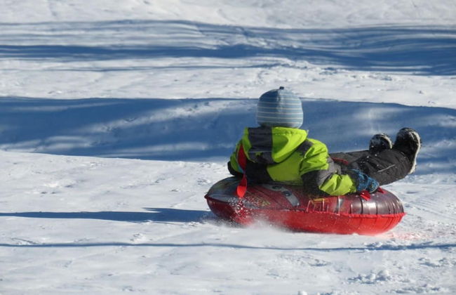 7 Room Saddlebrook Golf SPA Villa 5BR 4BA - Photo 46