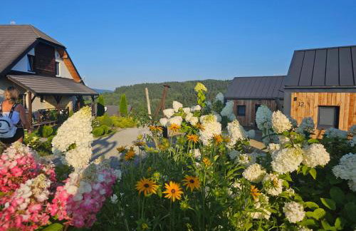 Stodoły w Bieszczadzie domy z basenem i widokiem na góry - Photo 70