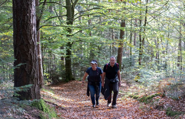 Village de vacances La Bolle - Foto 14