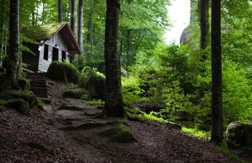 Terrassenpark Apartments (Premium Rooms) - Foto 26