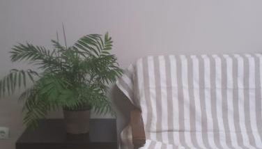 Apartamento - Foto 4