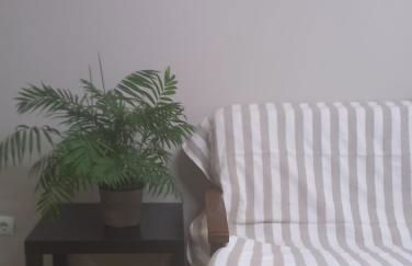 Apartamento - Foto 11