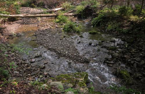 Luxuriously Restored Farm Cabin - Foto 48