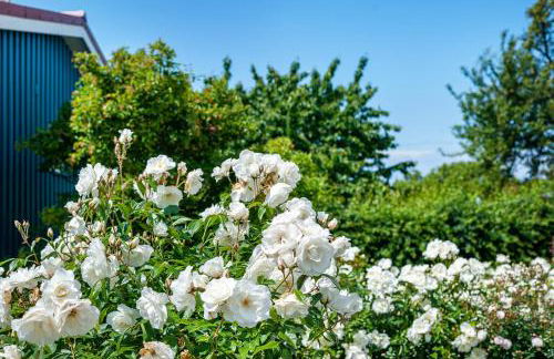 Möve Aba Appartment 11 - Foto 30