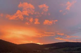 The Fox Den - Foto 44