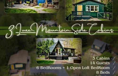 Trio Luxe Mountainside Oasis - Foto 1