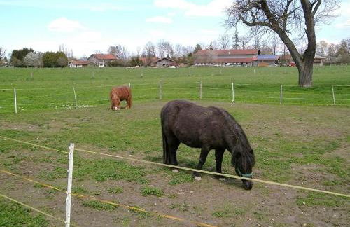 Bayerischer Rückzugsort in der Nähe des Chiemsees - Foto 17
