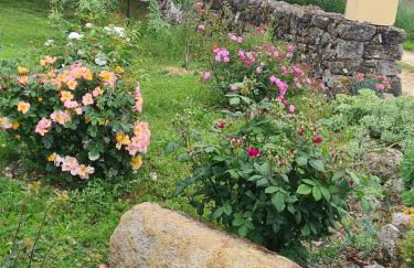 charmant logement à la campagne - Photo 18
