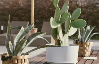 LA Casa Di Lusso N5 - Adults Only - Foto 11