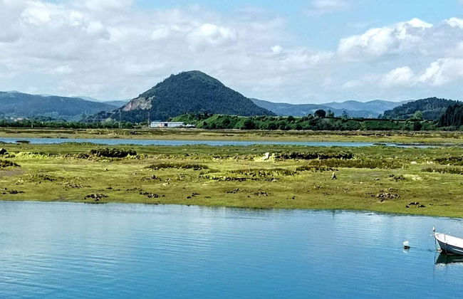 Visita a una fábrica conservera + Marismas de Santoña - Foto 11