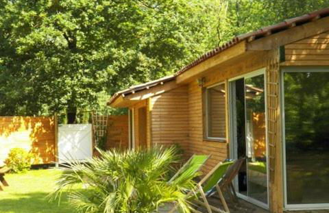 Piscine intérieure Spa privatif, parc arboré 3000 m2, océan et lac - Photo 11