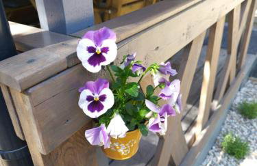 Świetna Chatka nad jeziorem - Foto 42