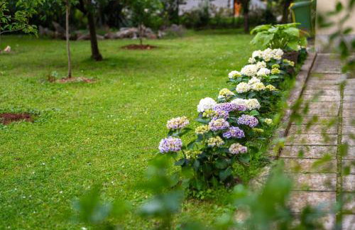 Blue Apartment - Foto 34