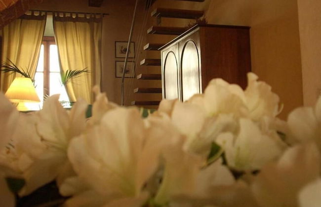 Capri Moon Guest House - Photo 46