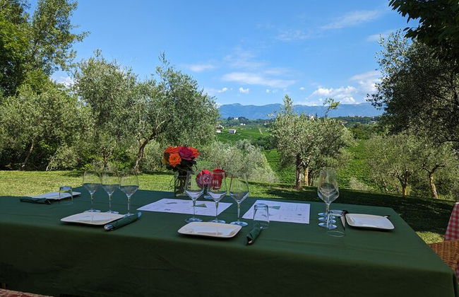 Premium Private Prosecco Hills Tour - 2 Cantine. Tour privato. - Foto 19