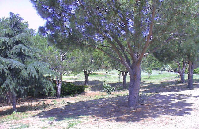 agriturismo borgo piazza - Foto 43