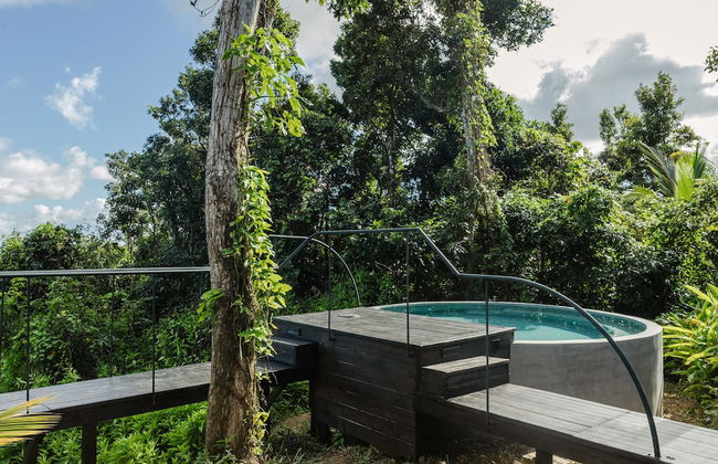 SELVA by DW - Photo 36