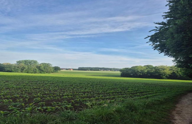 Bad Bentheim Family Retreat - Foto 20