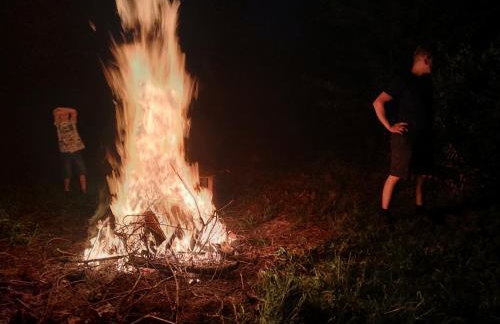 Owocowa Chojnata - Foto 15