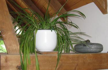 Apartments Bed & Breakfast Brückner - Foto 10