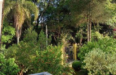 Casa na 1a adega de São Roque - Photo 2