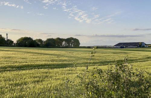 The Windmill Blackthorn Hill - Foto 41