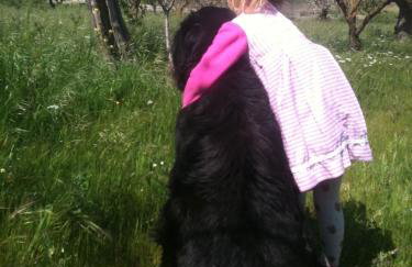 Agriturismo Teatro del grano - Foto 9