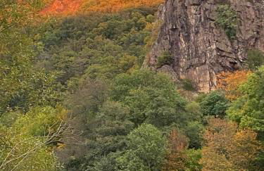 Ferienhaus am Fluss. Baubiologisch renoviert. - Foto 60