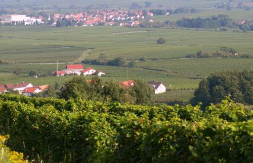 Ferienhaus Mengelberg - Photo 27