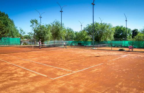 Dream Escape Mobile Home - Photo 6