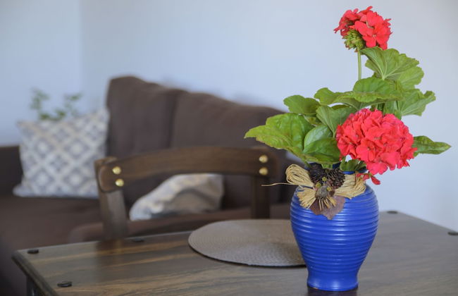 Traditional Apartments Madares - Foto 36