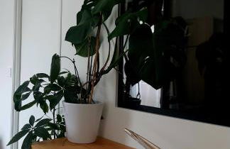 Hôte Stéphanois &parking - Foto 23