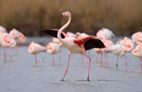 Apartment Le Serpent de Mer-7 by Interhome - Foto 51