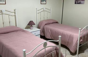 Or Son Sano - Foto 12