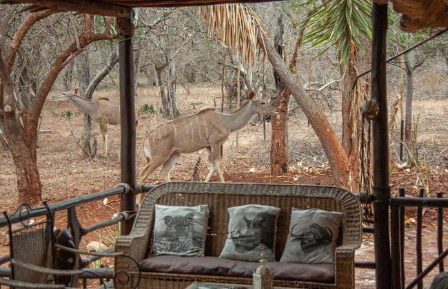 Lovely Holiday Home Bordering Kruger National Park - Foto 40