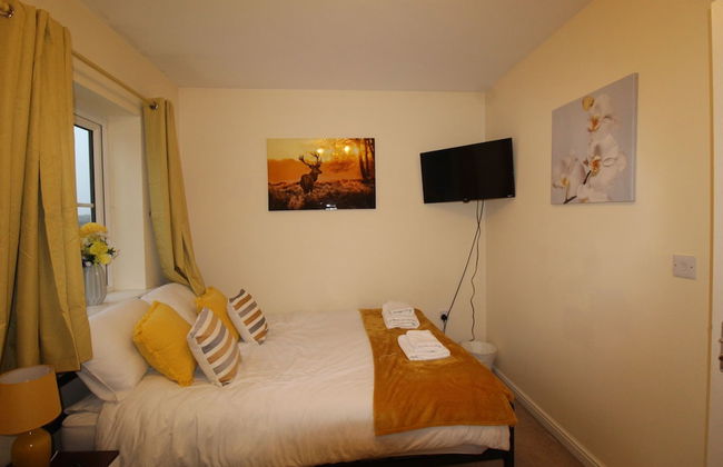 Southdown House - Photo 12