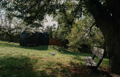 Stall & Sterne - Tiny Häuser - Foto 25