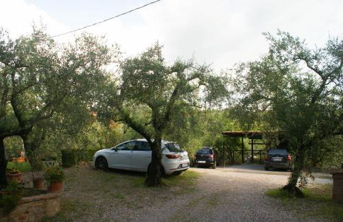 Casa Vacanze L'Oliveta - Foto 29