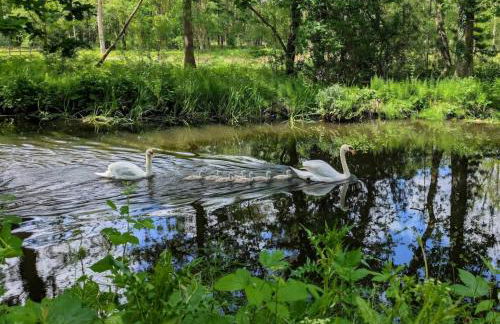 StayZen Apartments - Free Parking & Private Garden Ground Floor Central Woking - Business & Leisure - Photo 27