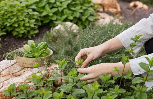 Villa Bewegte Berge - Foto 35