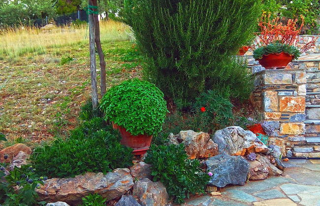 Flower Houses - Foto 41