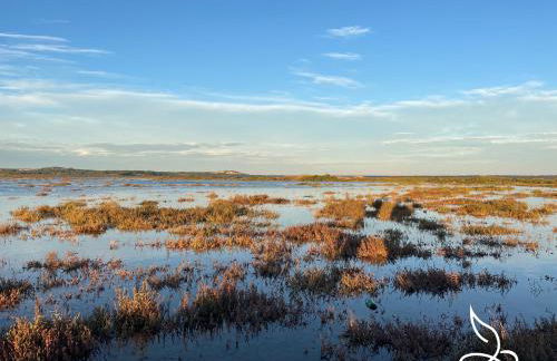 Maison 5pers-clim-piscine-wifi - Foto 8